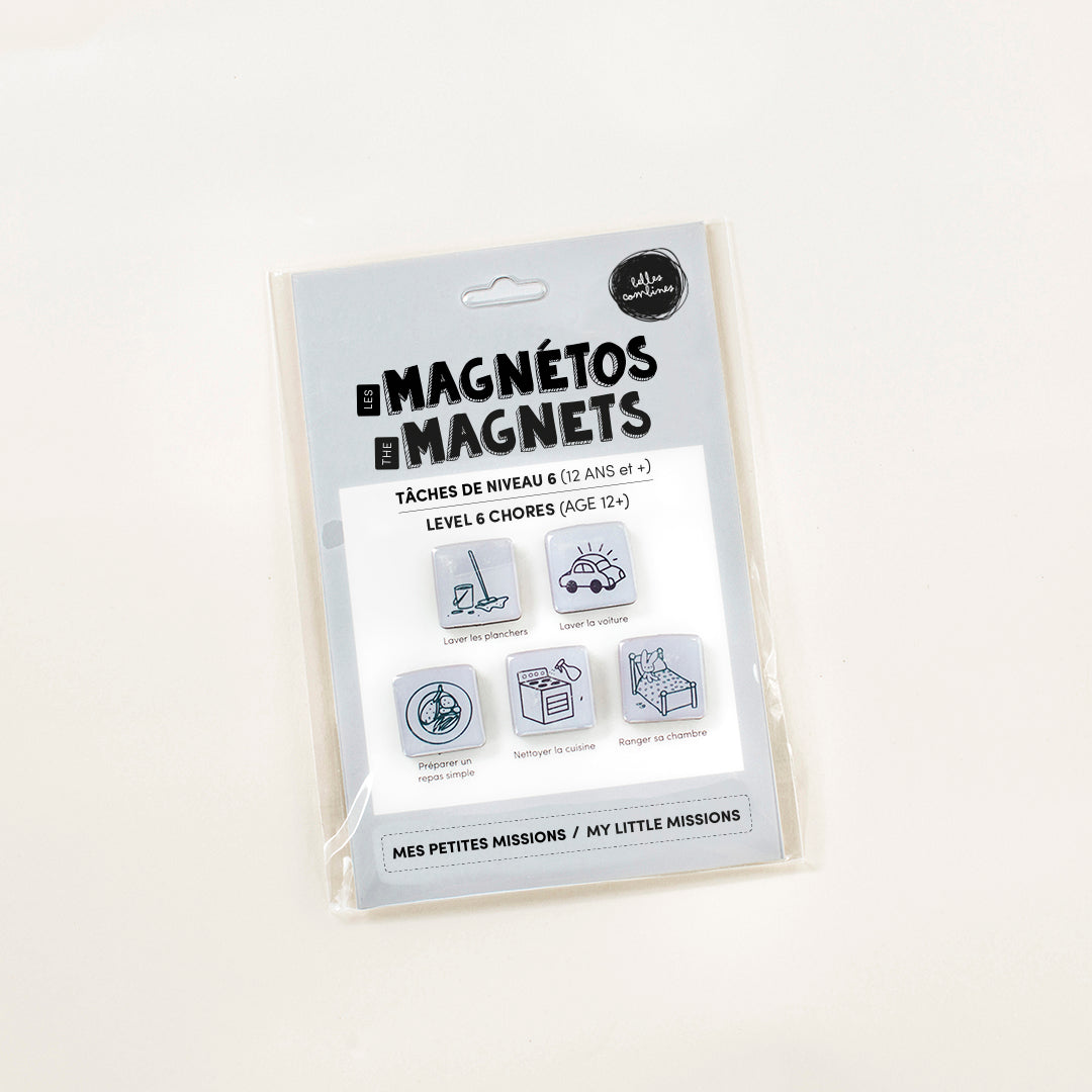 Les Magnetos Petites missions - Level 6 tasks (12 years and over) - BILINGUAL